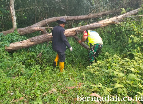 01072022-Siak_2.jpg