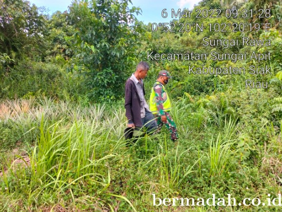 06032022-SIAK_1.jpg