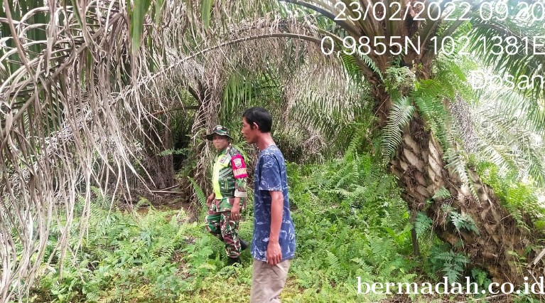 23022022-Siak_1.jpg