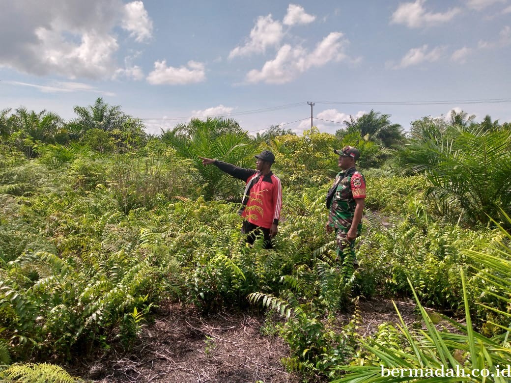 Penanggulangan Karhutla di Wilayah Koramil 02/Sungai Apit, Senin 20 Mei