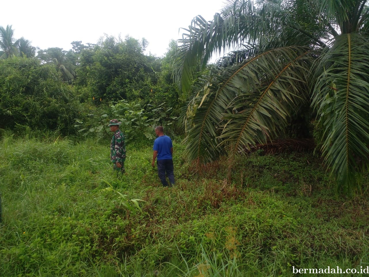 Penanggulangan Karhutla di Wilayah Koramil 02/Sungai Apit, Sabtu 25 Mei