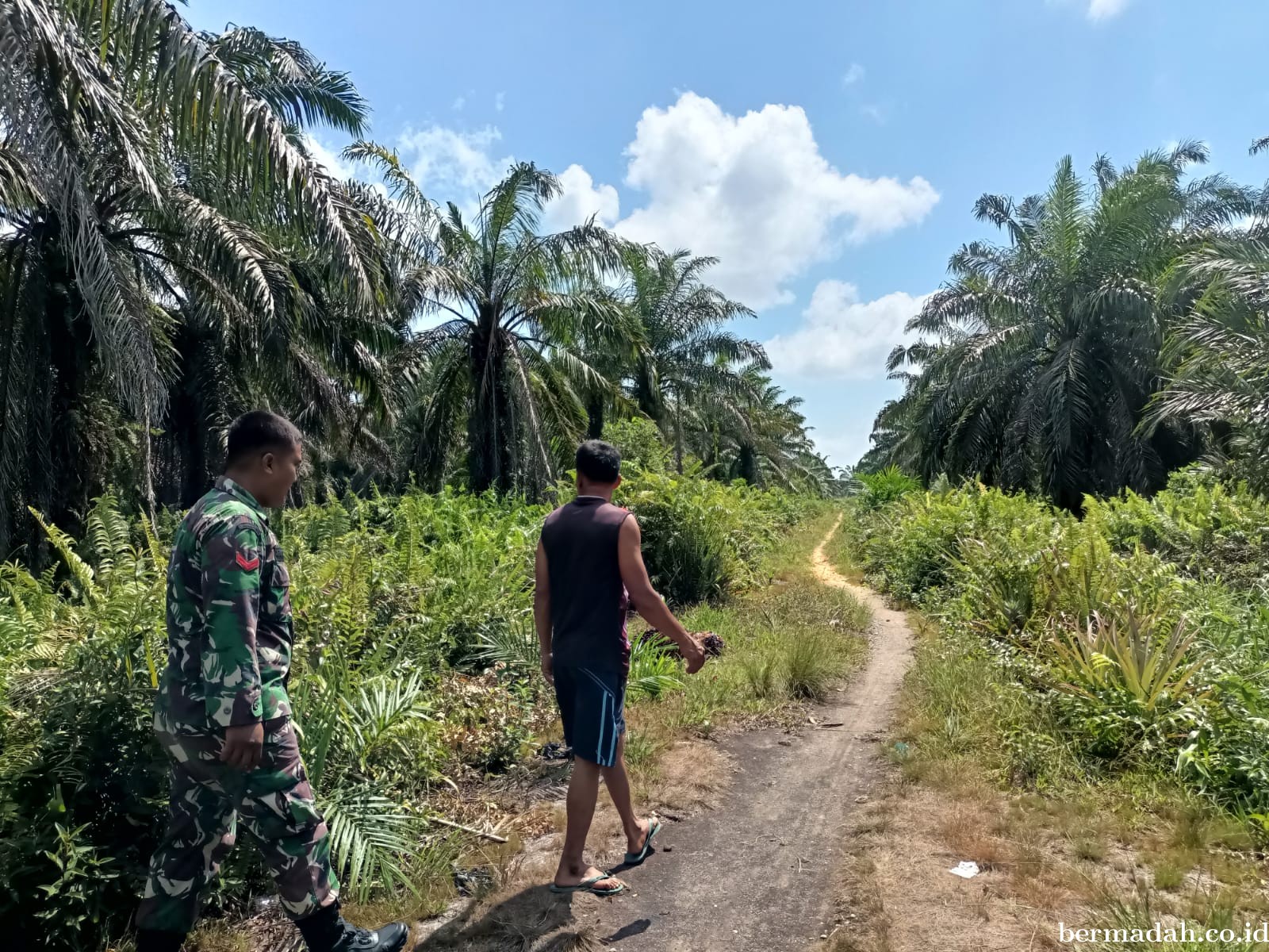 Penanggulangan Karhutla di Wilayah Koramil 02/Sungai Apit Selasa, 28 Mei