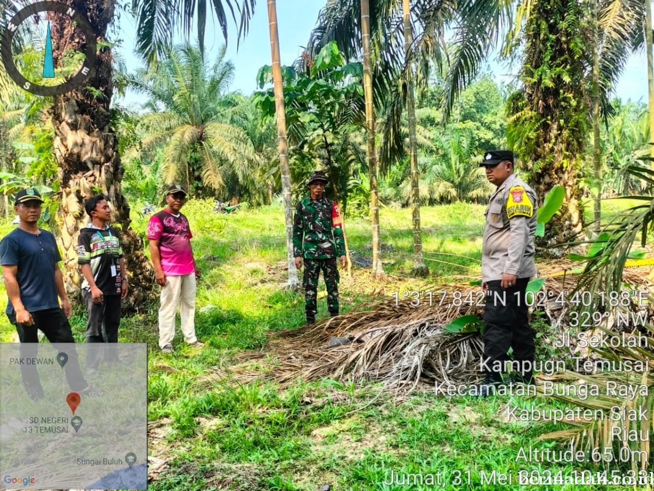 Penanggulangan Karhutla di lintas Wilayah Koramil 06/PWK Sabak Auh, Jumat 31 Mei
