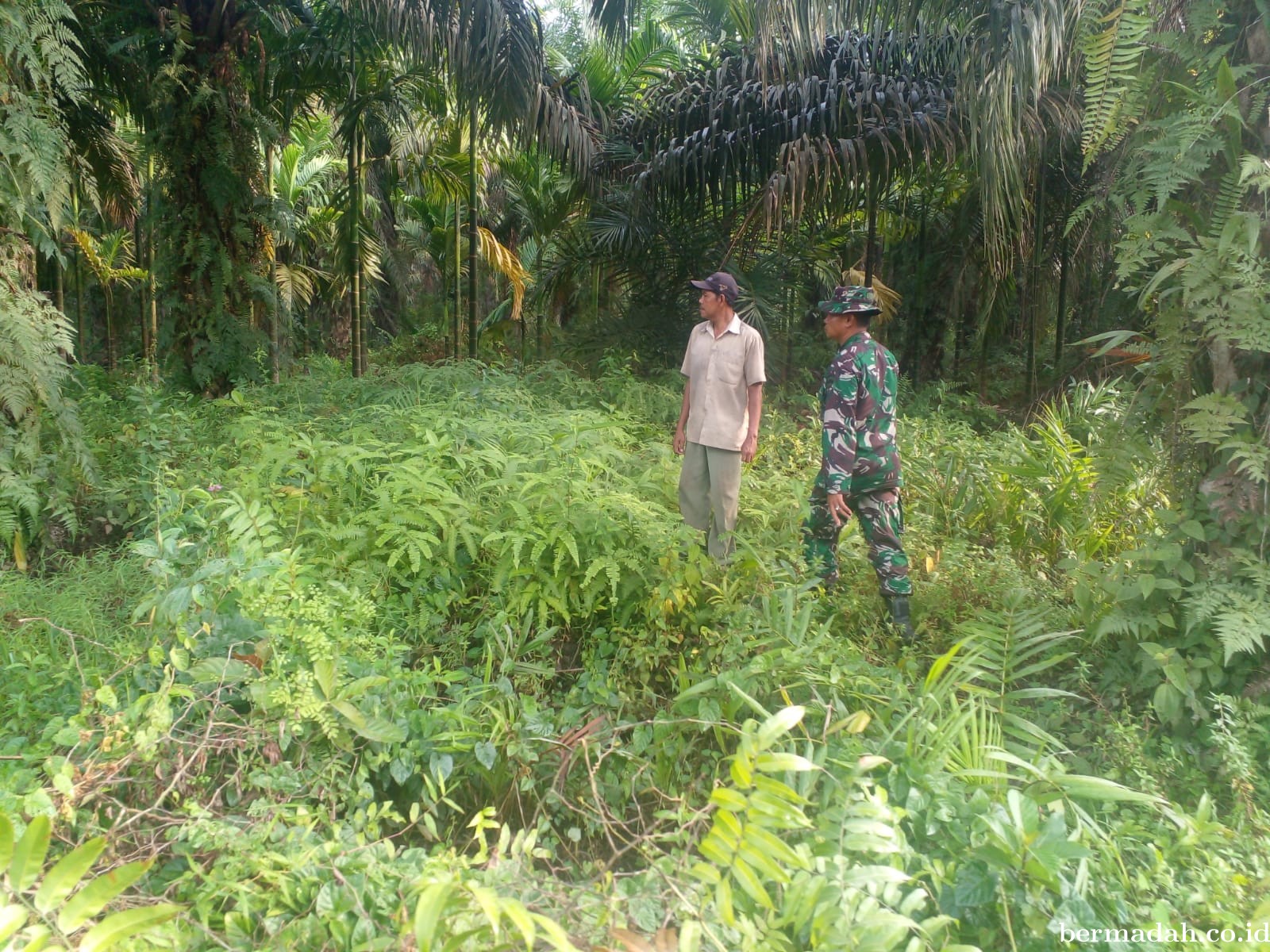 Penanggulangan Karhutla di Wilayah Koramil 02/Sungai Apit, Selasa 4 Juni