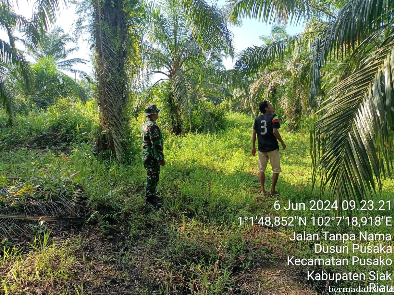 Penanggulangan Karhutla di Wilayah Koramil 02/Sungai Apit, Kamis 6 Juni
