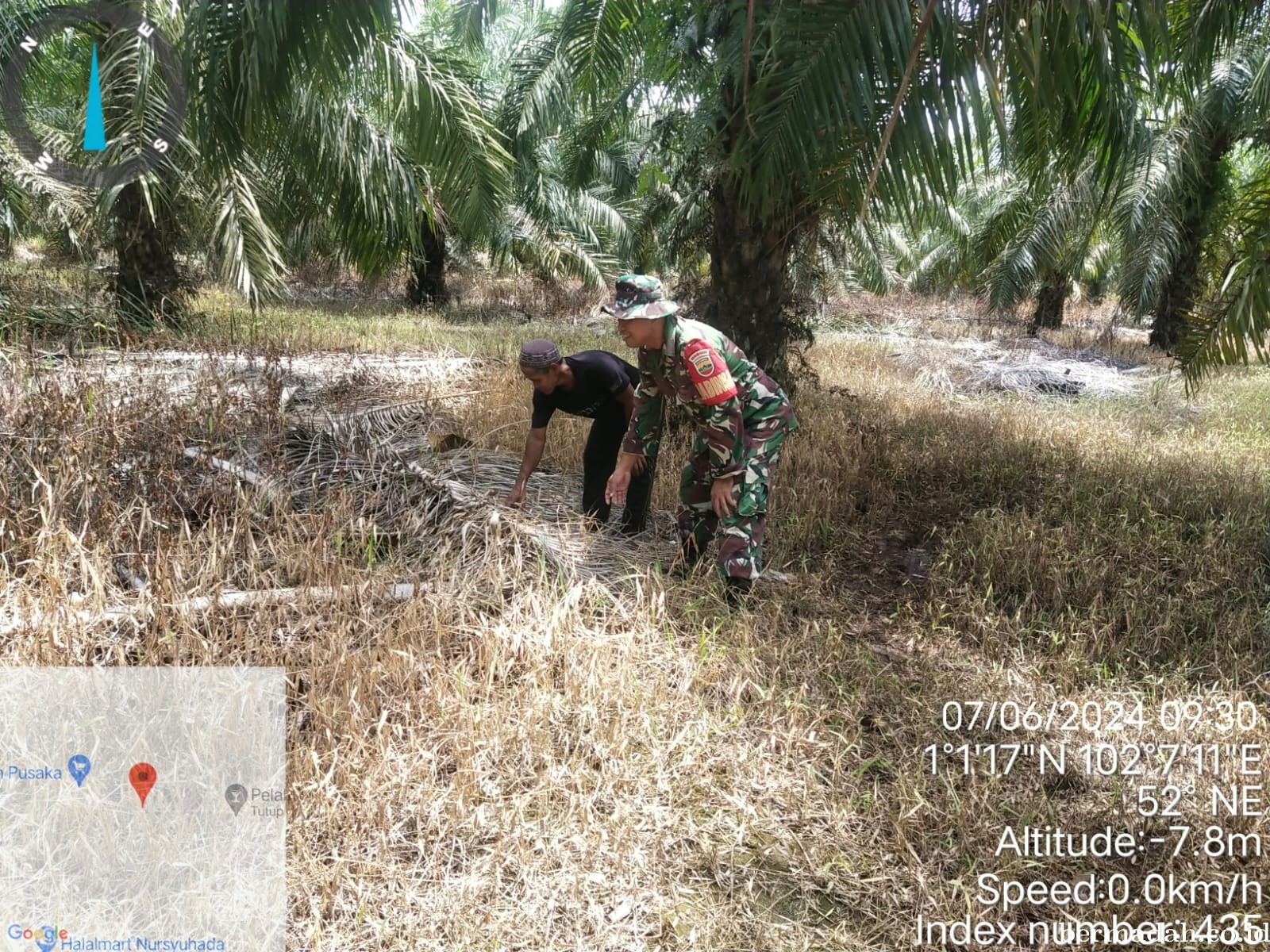 Penanggulangan Karhutla di Wilayah Koramil 02/Sungai Apit, Jumat 7 Juni