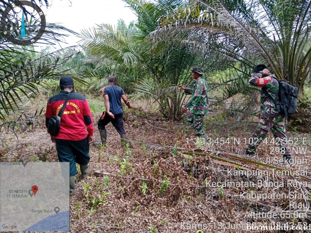 Penanggulangan Karhutla di lintas Wilayah Koramil 06/PWK Sabak Auh, Kamis 13 Juni