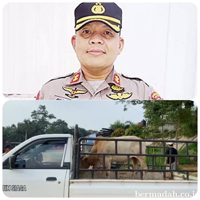 PWI Pelalawan Gelar Pemotongan dan Pembagian Daging Qurban Pertama dari Kapolres
