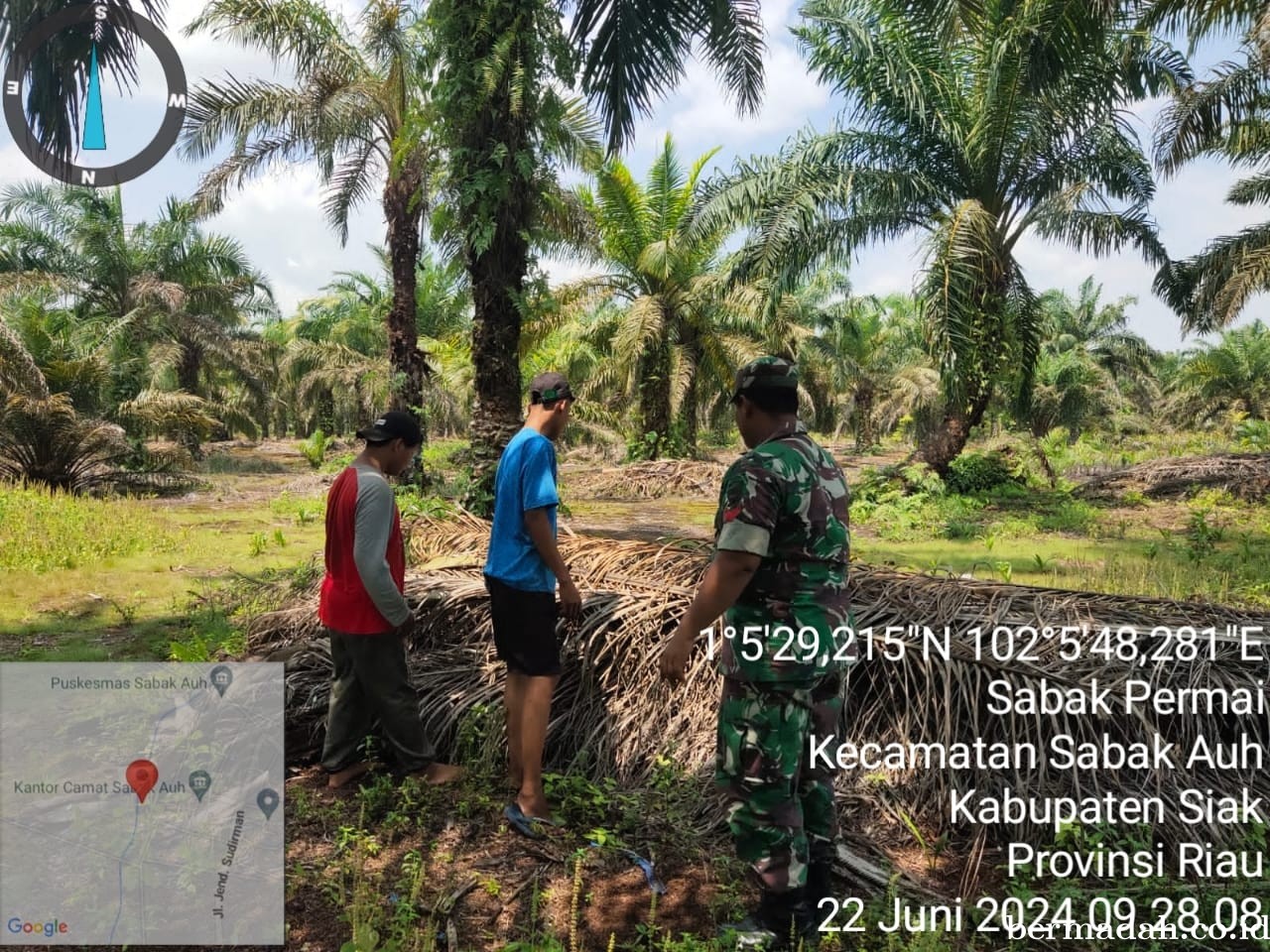 Penanggulangan Karhutla di lintas Wilayah Koramil 06/PWK Sabak Auh, Sabtu 22 Juni