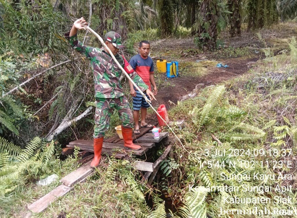 Penanggulangan Karhutla di Wilayah Koramil 02/Sungai Apit, Rabu 3 Juli