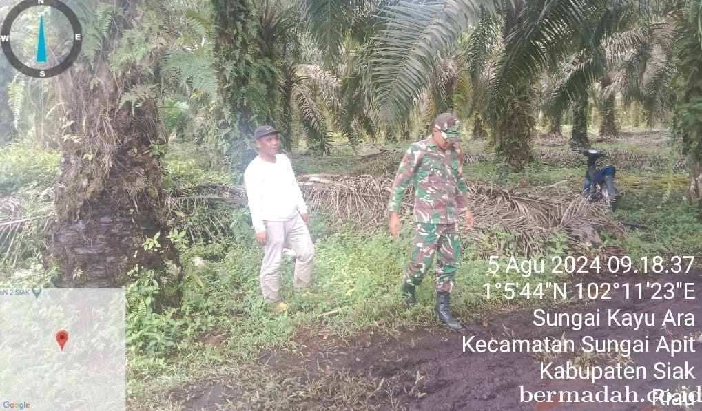 Penanggulangan Karhutla di Wilayah Koramil 02/Sungai Apit, Senin 5 Agustus