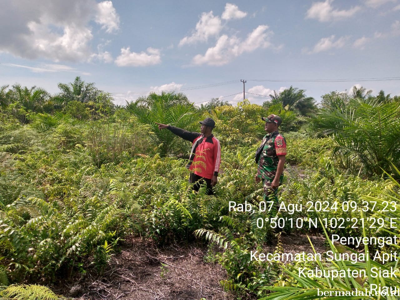 Penanggulangan Karhutla di Wilayah Koramil 02/Sungai Apit, Rabu 7 Agustus