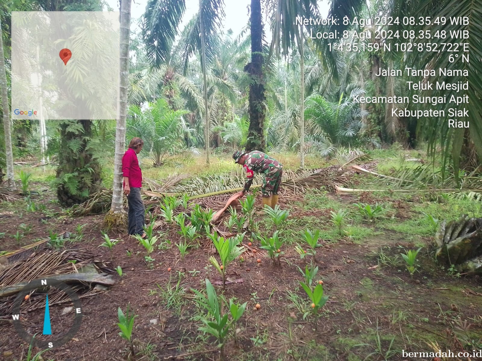 Penanggulangan Karhutla di Wilayah Koramil 02/Sungai Apit, Kamis 8 Agustus