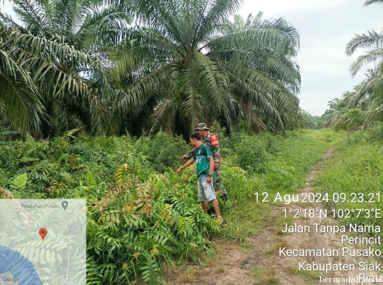 Penanggulangan Karhutla di Wilayah Koramil 02/Sungai Apit Senin 12 Agustus