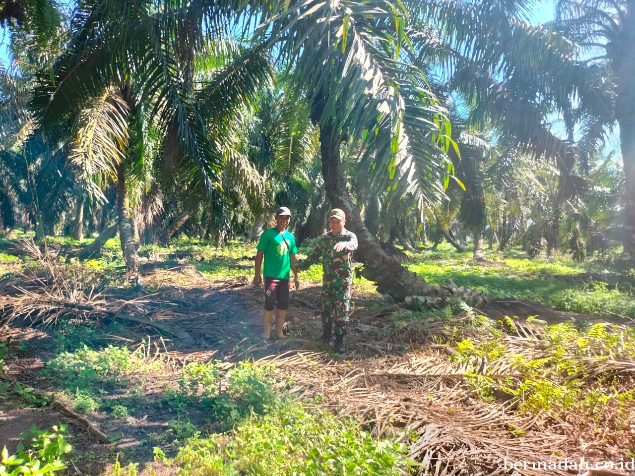 Penanggulangan Karhutla di Wilayah Koramil 02/Sungai Apit Selasa 13 Agustus