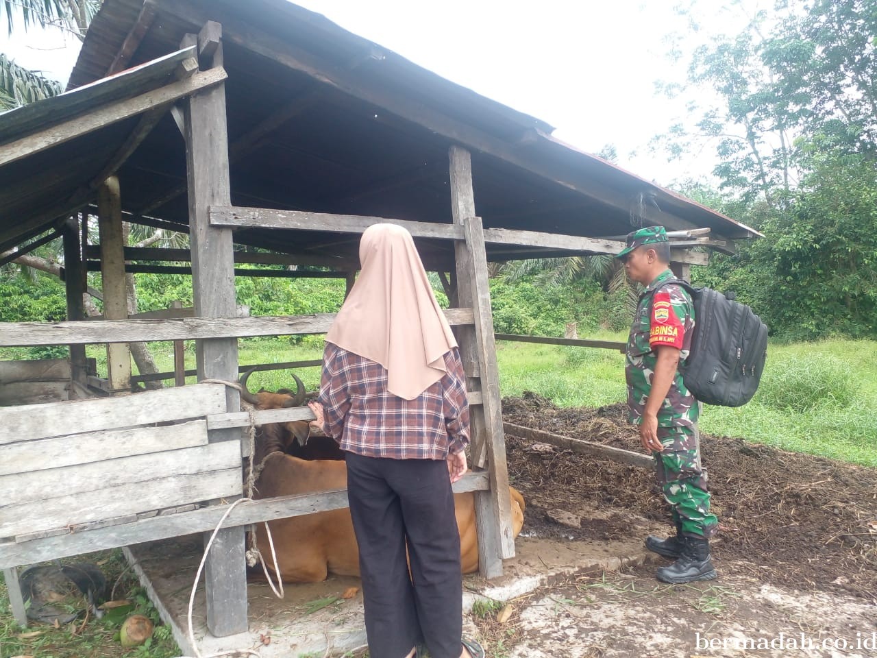 Selasa 20 Agustus, Pendampingan Penyemprotan Disinsfektan PMK URC Ternak di Kampung Paret1/2