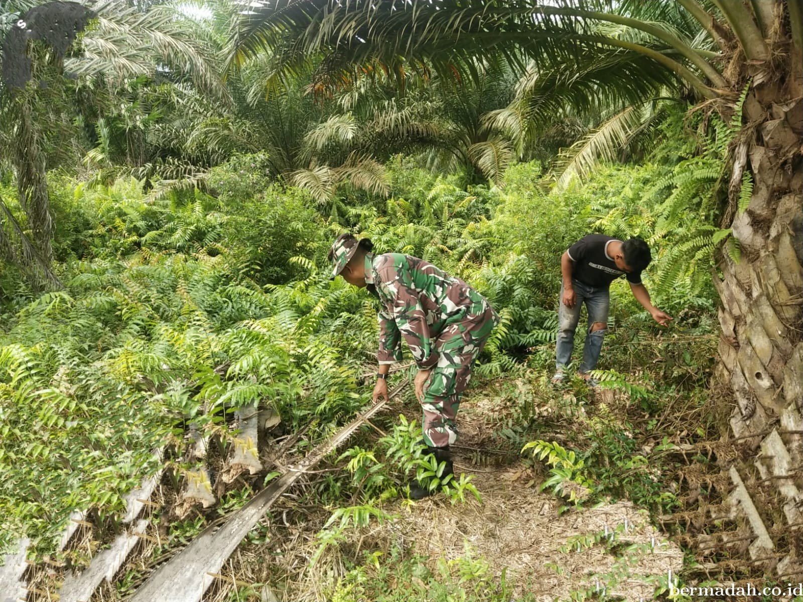 Penanggulangan Karhutla di Wilayah Koramil 02/Sungai Apit, Minggu 25 Agustus