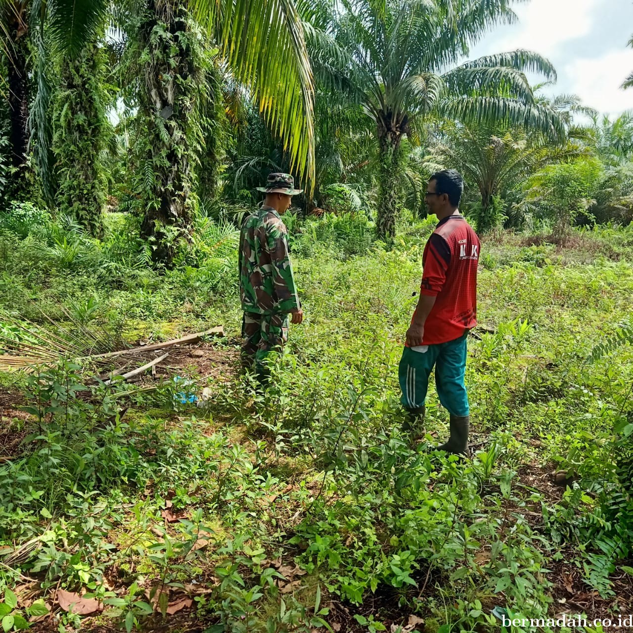 Penanggulangan Karhutla di *Wilayah Koramil 02/Sungai Apit  Sabtu tanggal 31 Agustus