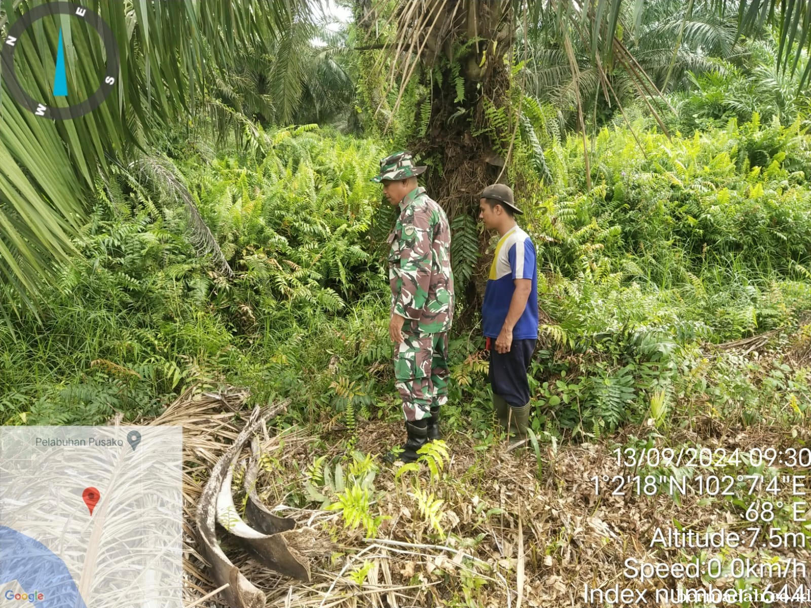 Penanggulangan Karhutla di Wilayah Koramil 02/Sungai Apit, Jumat 13 September