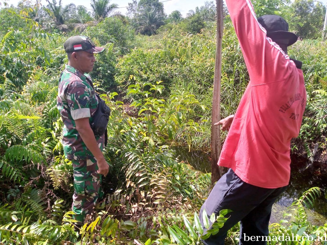 Penanggulangan Karhutla di Wilayah Koramil 02/Sungai Apit Sabtu, 14 September