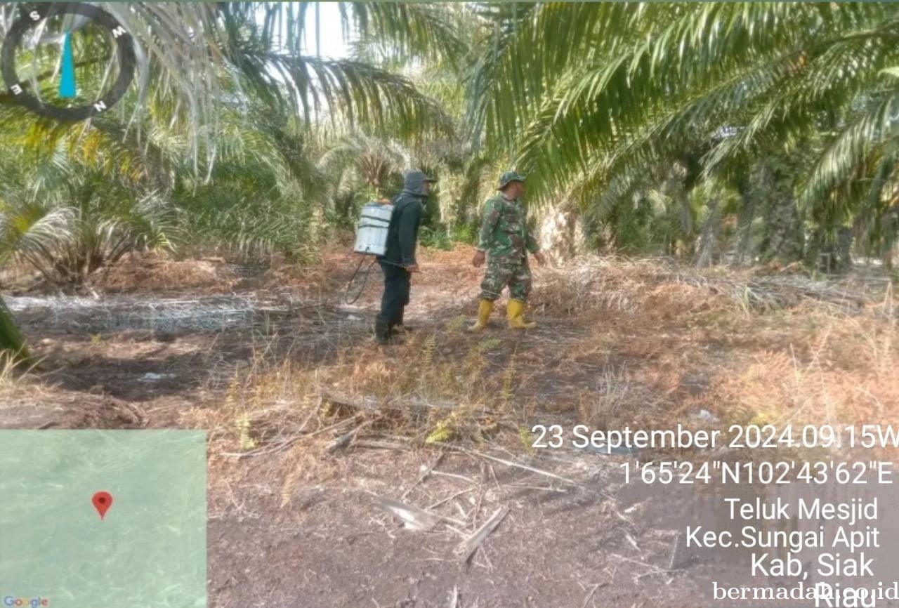 Penanggulangan Karhutla di Wilayah Koramil 02/Sungai Apit, Senin 23 September