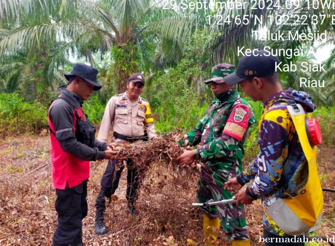 Penanggulangan Karhutla di Wilayah Koramil 02/Sungai Apit Minggu, 29 September