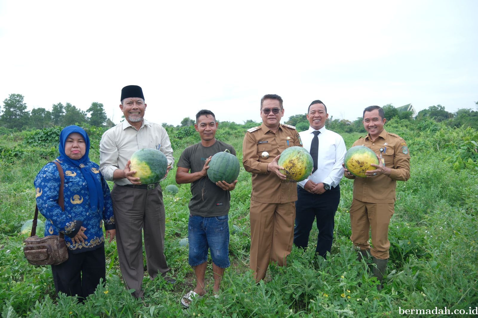 Sulap Lahan Kosong Jadi Kebun Semangka, Kelompok Tani: Ini Cuan