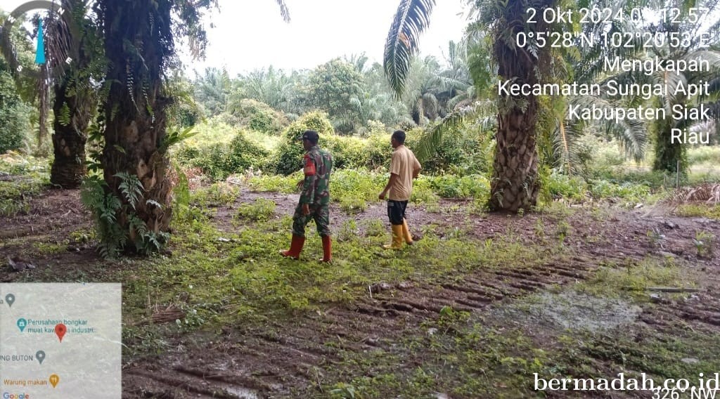 Kegiatan Penanggulangan Karhutla di Wilayah Koramil 02/Sungai Apit, Rabu 2 Oktober