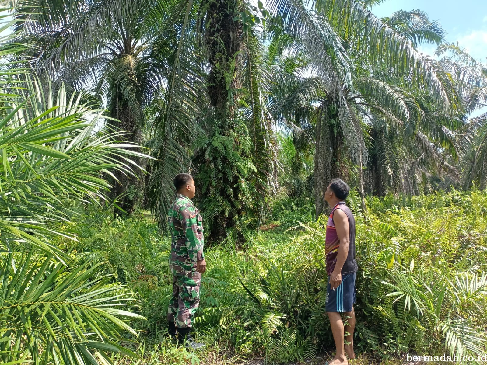 Penanggulangan Karhutla di Wilayah Koramil 02/Sungai Apit, Sabtu 5 Oktober