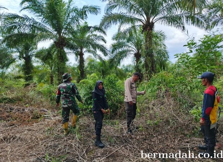 Penanggulangan Karhutla di Wilayah Koramil 02/Sungai Apit, Selasa Tanggal 08 Oktober