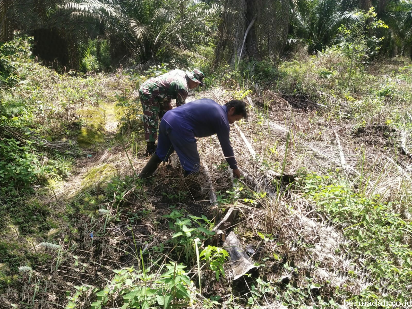 Penanggulangan Karhutla di Wilayah Koramil 02/Sungai Apit, Kamis 24 Oktober