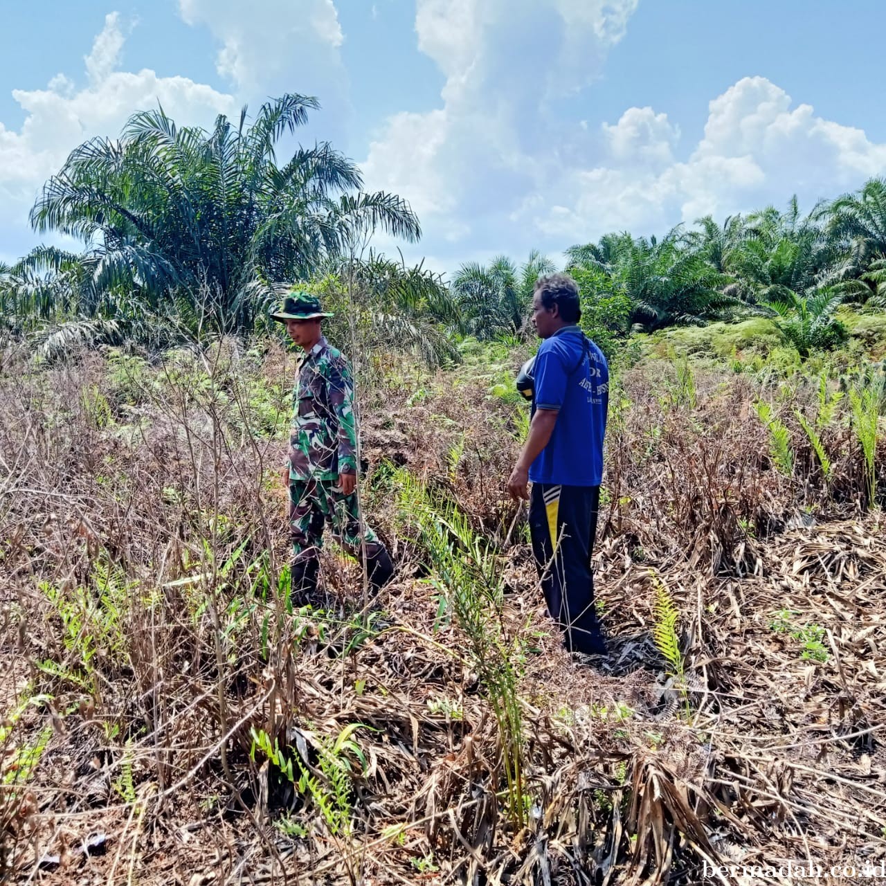 Penanggulangan Karhutla di Wilayah Koramil 02/Sungai Apit Jumat 25 Oktober