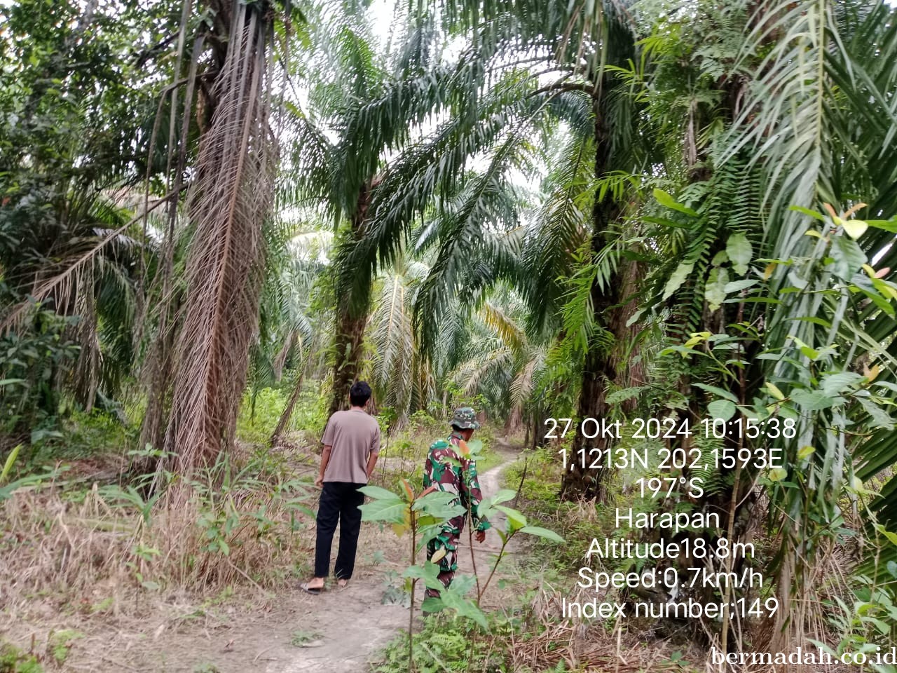 Penanggulangan Karhutla di Wilayah Koramil 02/Sungai Apit, Minggu 27 Oktober