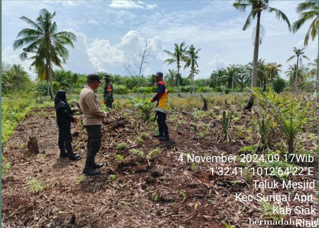 Penanggulangan Karhutla di Wilayah Koramil 02/Sungai Apit, Senin 4 November