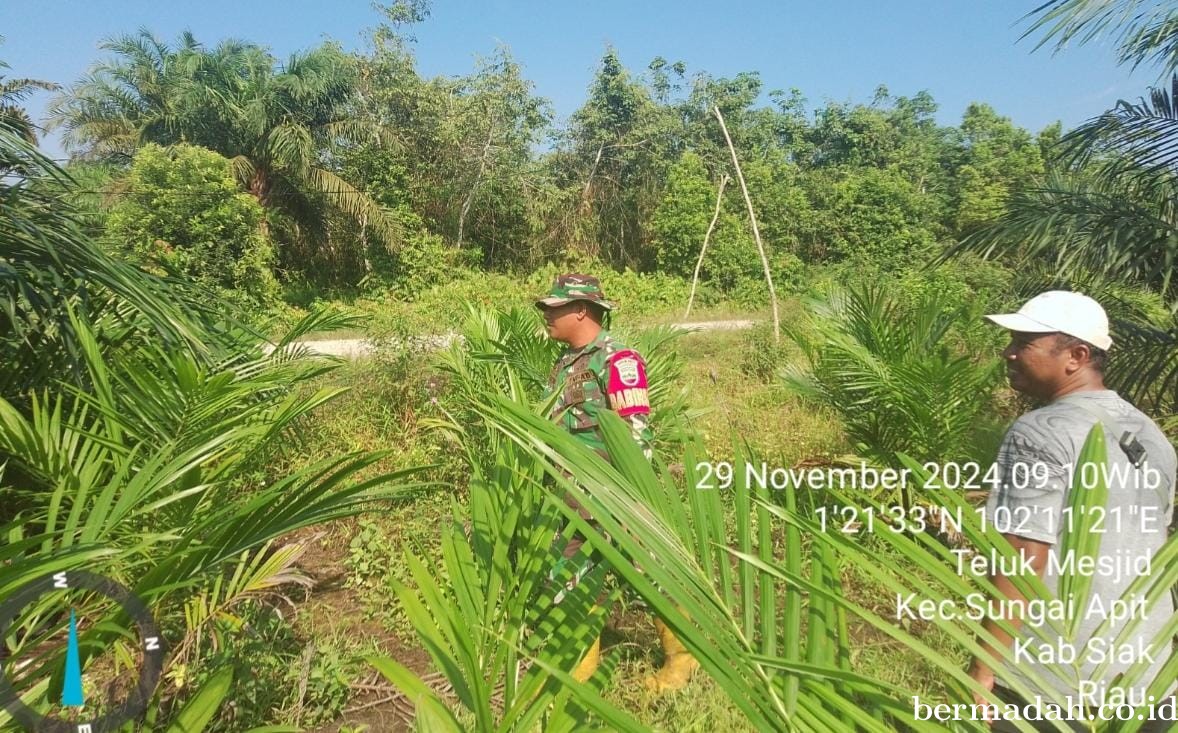 Penanggulangan Karhutla di Wilayah Koramil 02/Sungai Apit Jumat 28 November