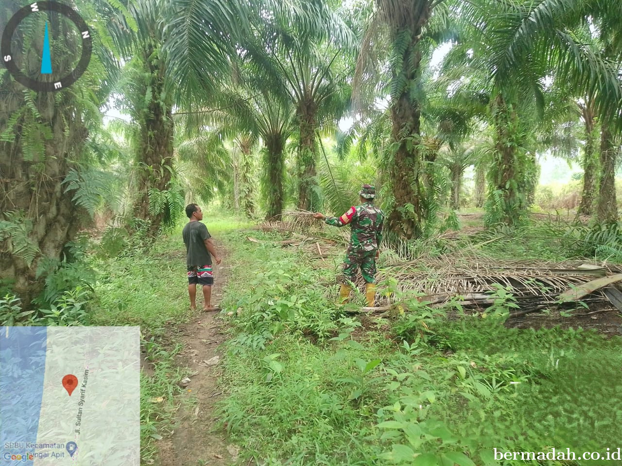 Penanggulangan Karhutla di Wilayah Koramil 02/Sungai Apit Kamis 5 Desember