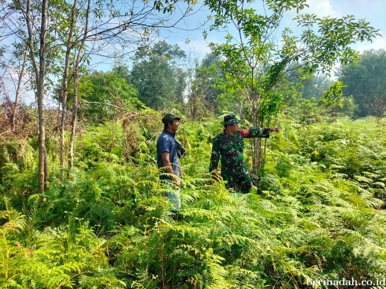 Penanggulangan Karhutla di Wilayah Koramil 02/Sungai Apit, Sabtu 8 Maret