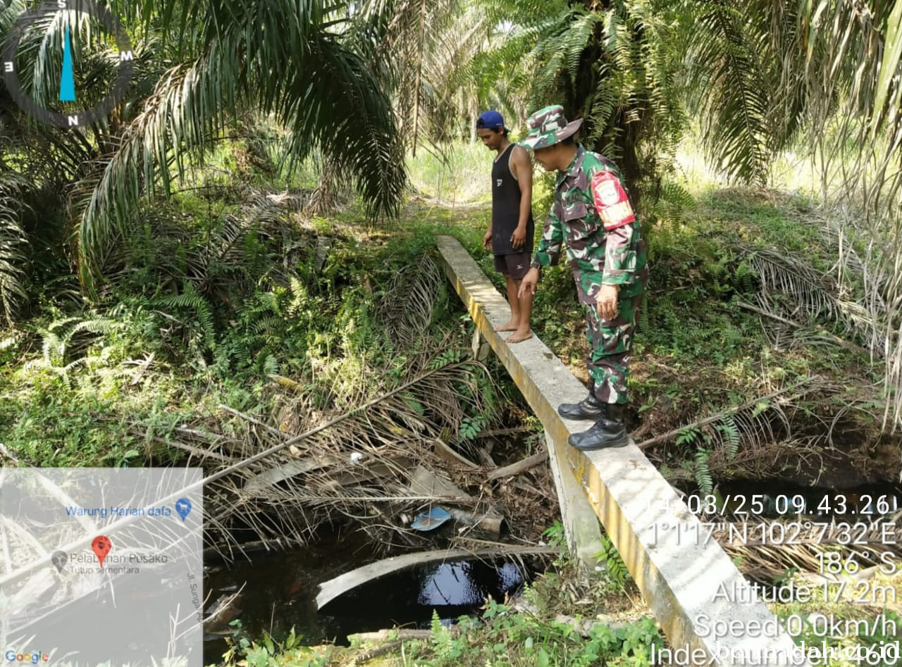 Penanggulangan Karhutla di *Wilayah Koramil 02/Sungai Apit Jumat 14 Maret