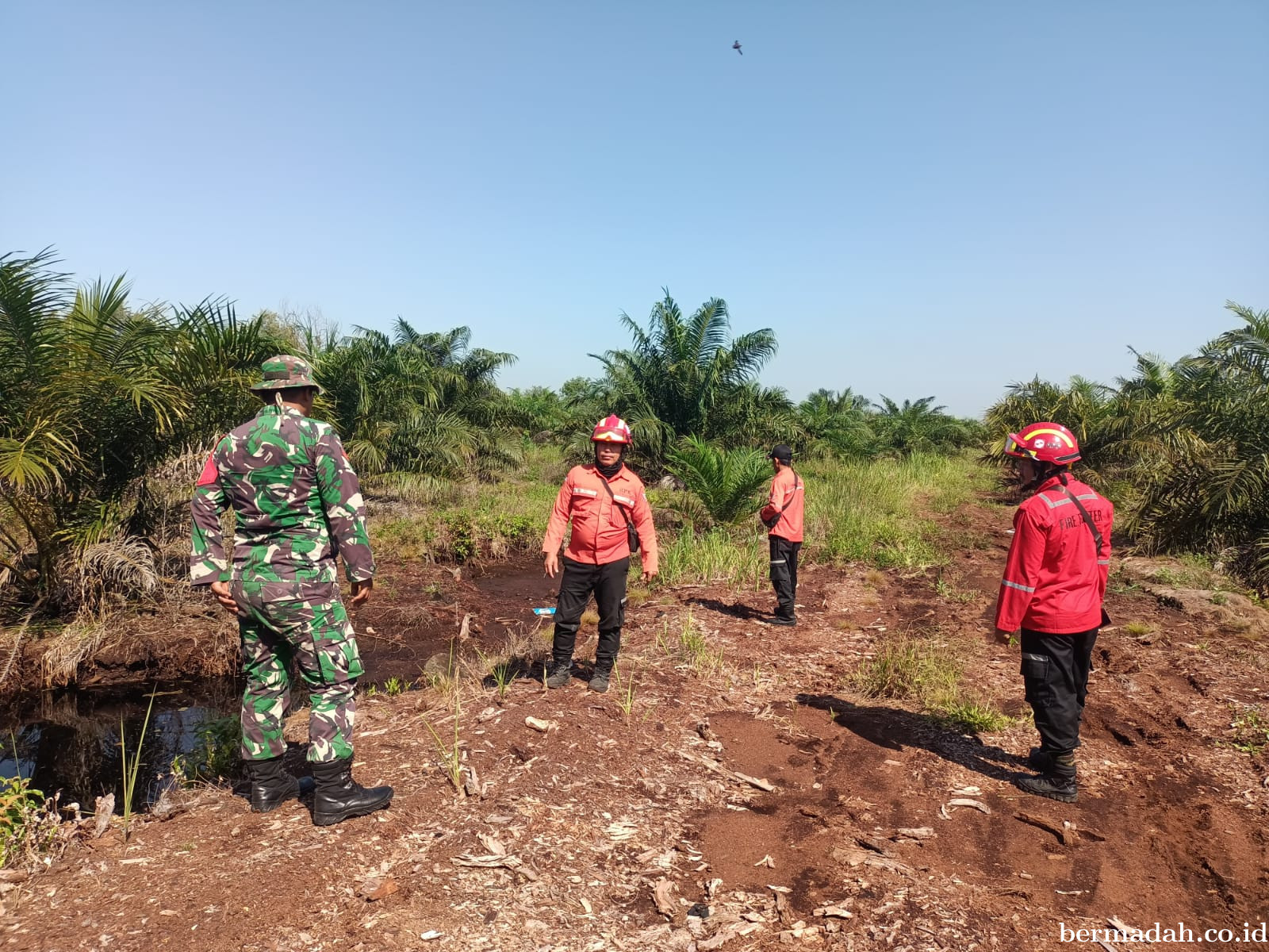 Penanggulangan Karhutla di Wilayah Koramil 02/Sungai Apit, Sabtu 26 Juli