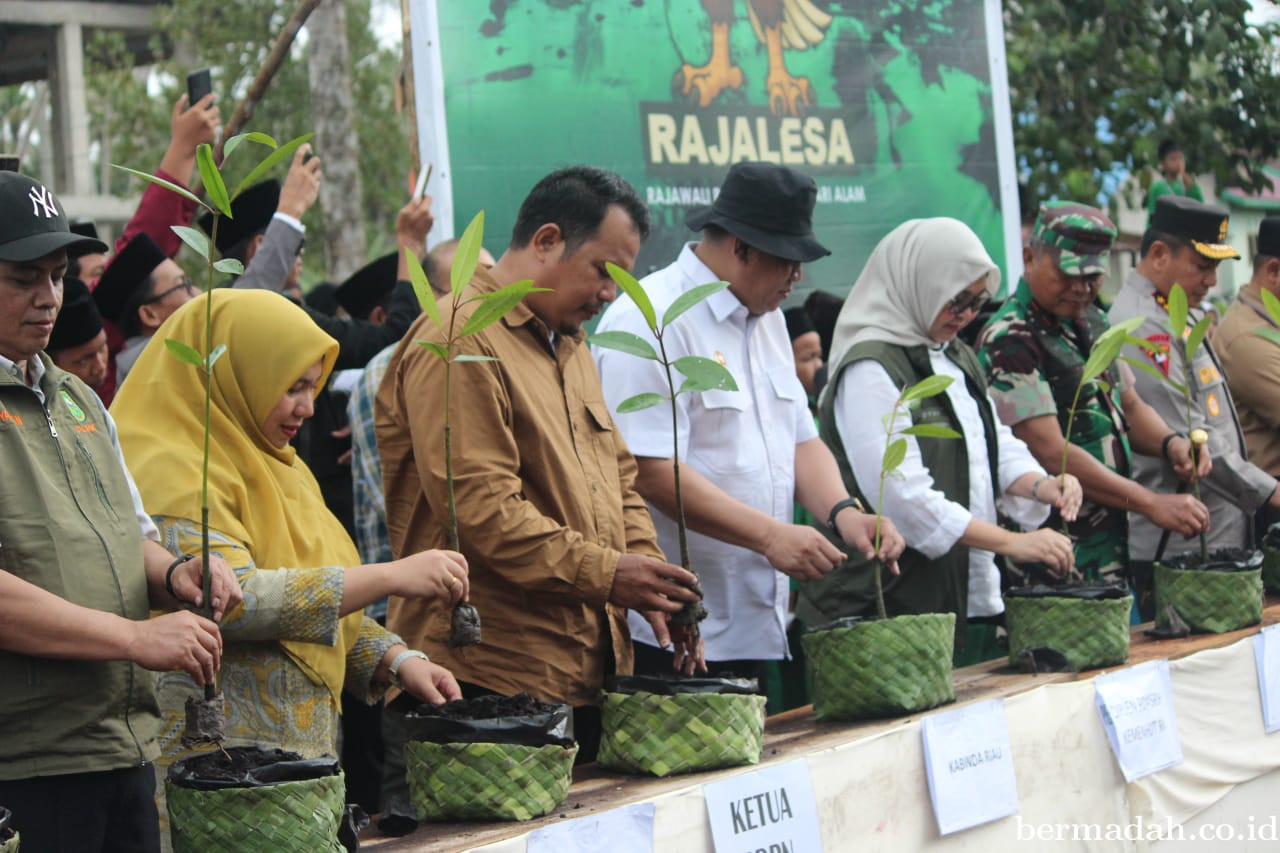 Yayasan BDPN Gaungkan Semangat Lestari di Hari Mangrove Sedunia 2025