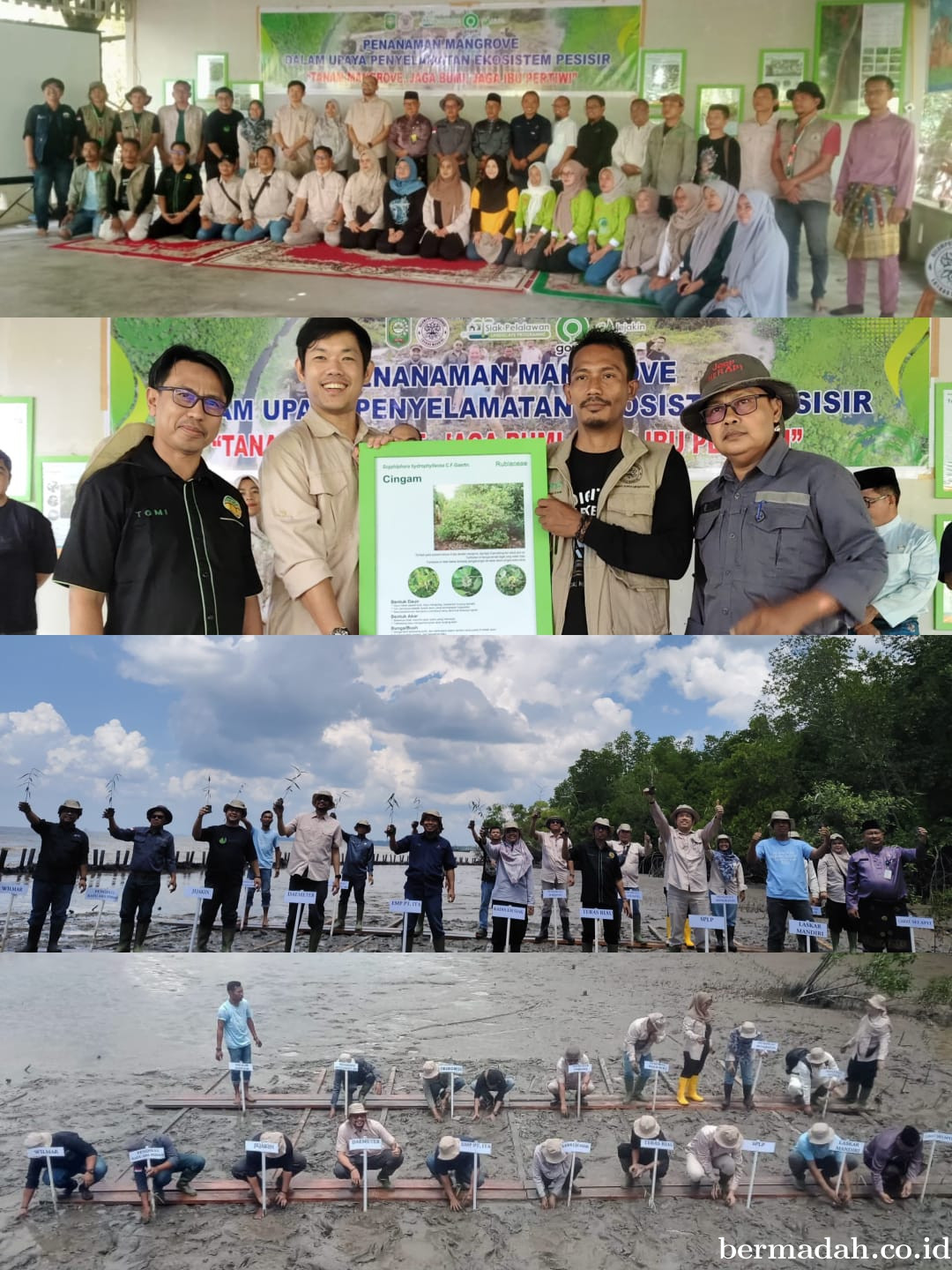 Tanam 8400 Mangrove di Sungai Bersejarah di Kampung Kayuara Permai, Buat Alat Pemecah Ombak