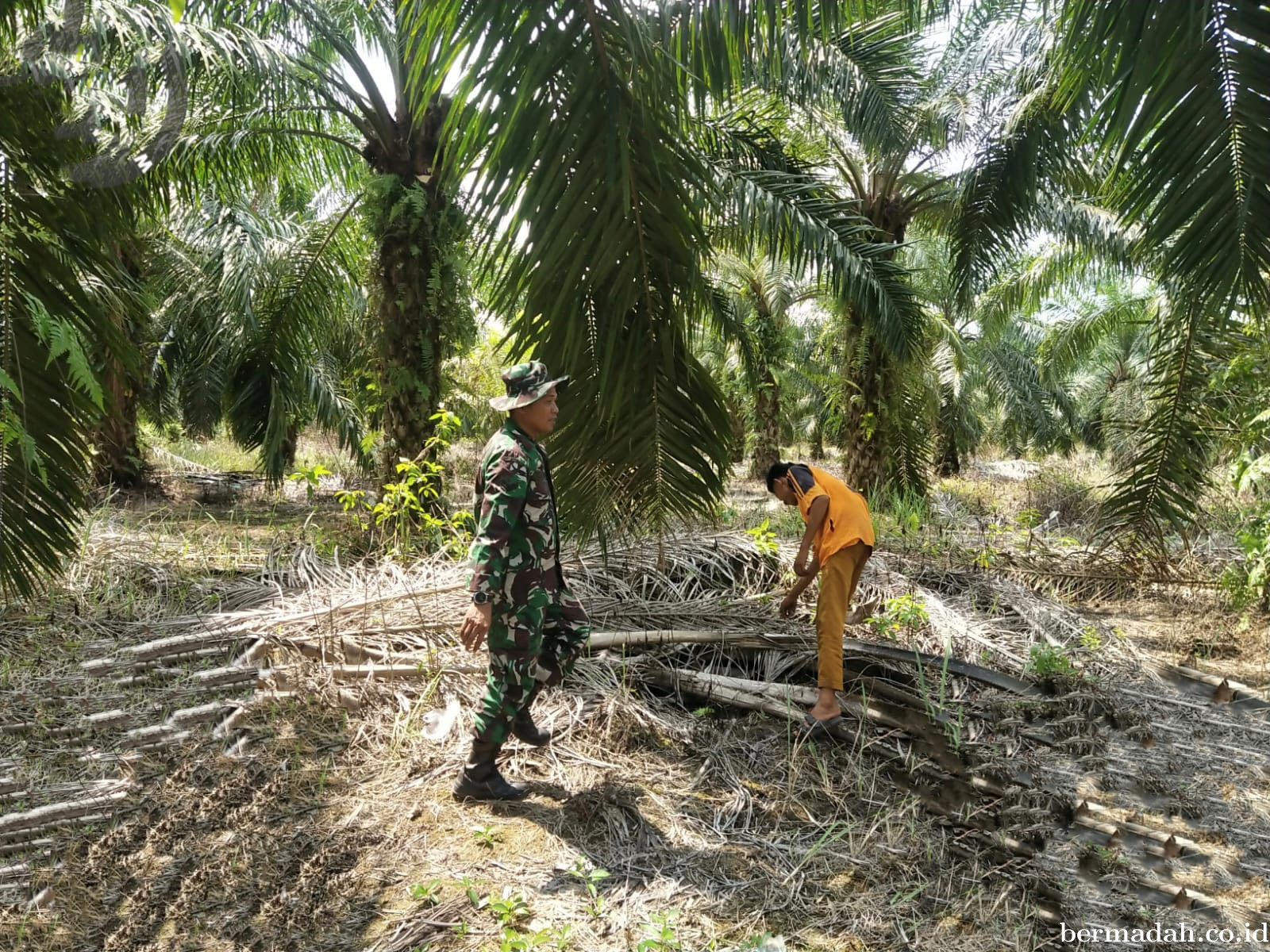 Penanggulangan Karhutla di Wilayah Koramil 02/Sungai Apit Kamis 7 Agustus