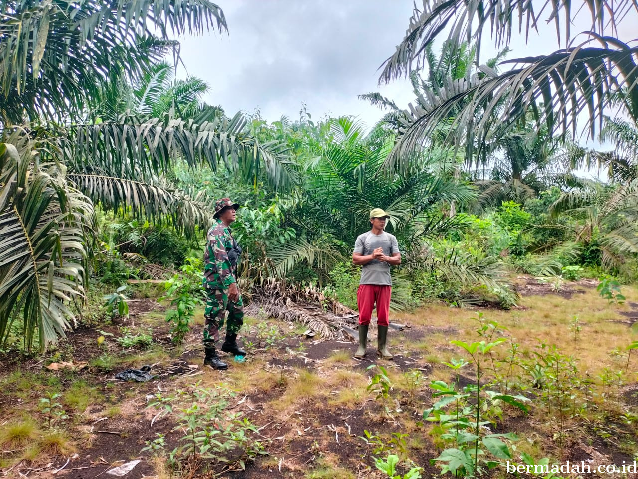 Penanggulangan Karhutla di Wilayah Koramil 02/Sungai Apit Kamis 25 September 2025