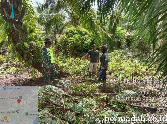 Penanggulangan Karhutla di lintas Wilayah Koramil 06/PWK Sabak Auh, Kamis 7 Maret