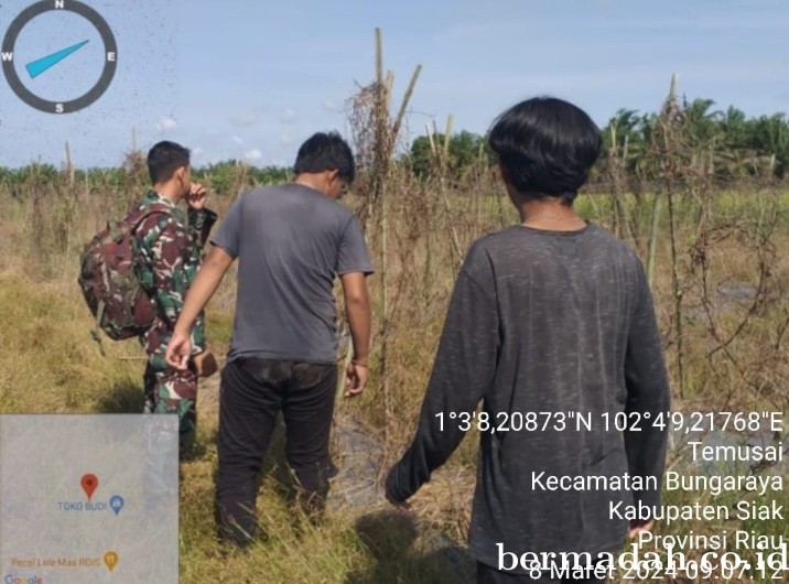 Penanggulangan Karhutla di lintas Wilayah Koramil 06/PWK Sabak Auh, Jumat 8 Maret