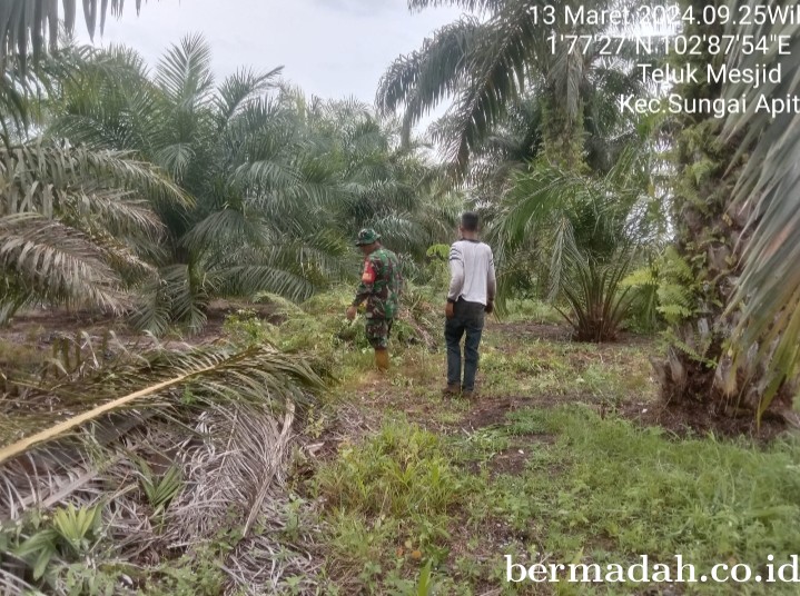 Penanggulangan Karhutla di Wilayah Koramil 02/Sungai Apit, Rabu 13 Maret
