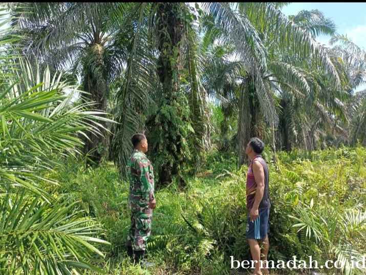 Penanggulangan Karhutla di Wilayah Koramil 02/Sungai Apit, Selasa 19 Maret
