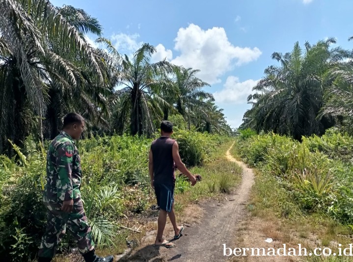 Penanggulangan Karhutla di Wilayah Koramil 02/Sungai Apit, Senin 1 April