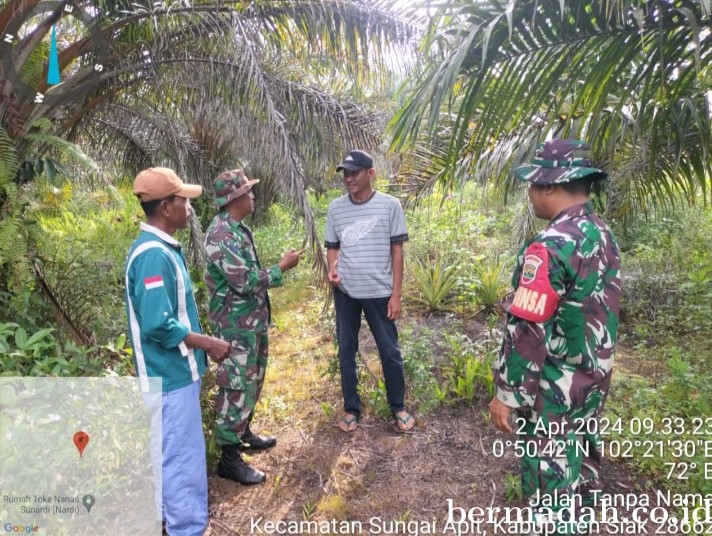 Penanggulangan Karhutla di Wilayah Koramil 02/Sungai Apit, Selasa 2 April