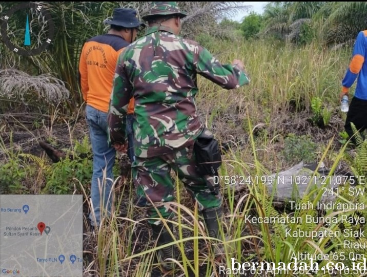 Penanggulangan Karhutla di lintas Wilayah Koramil 06/PWK Sabak Auh, Rabu 3 April